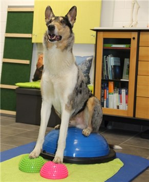 HOP Moni Hiller Bild1  Bewegungstherapie