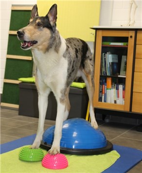 HOP Moni Hiller Bild2  Bewegungstherapie