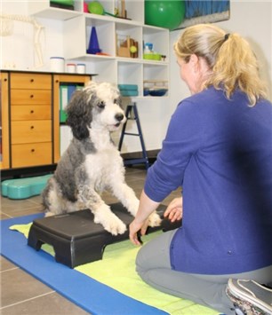 HOP Moni Hiller Bild3  Bewegungstherapie