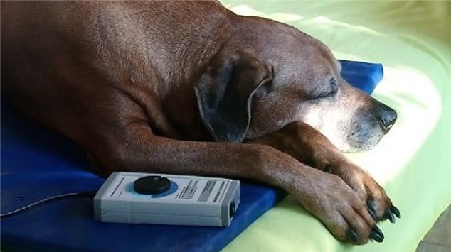 HOP Moni Hiller Bild pulsierendes Magnetfeld